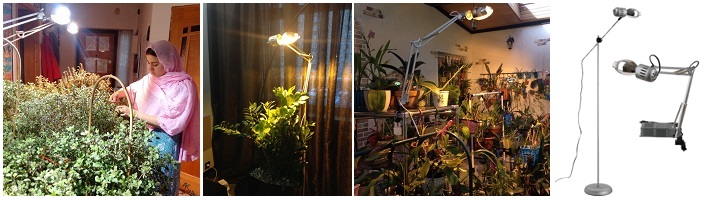 Лампы для растений купить в Омске