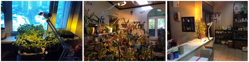 Фитотехнологии магазин фитоламп и фитосветильников Москва